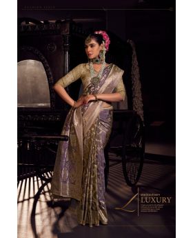 Designer Viscose Tissue Saree with Handworked Pallu Embroidered Blouse